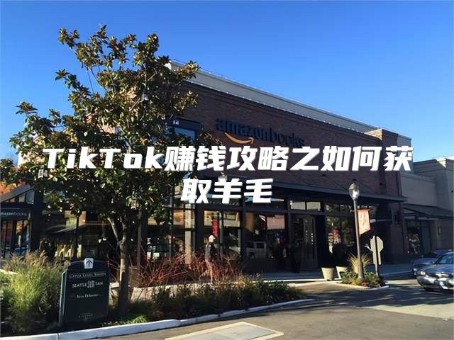 TikTok赚钱攻略之如何获取羊毛