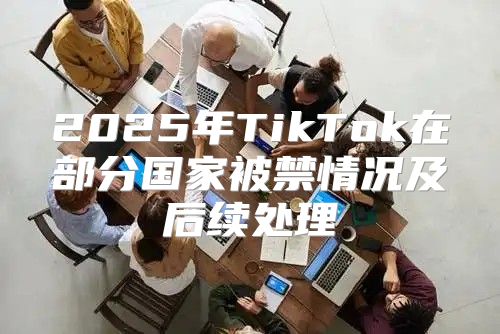 2025年TikTok在部分国家被禁情况及后续处理