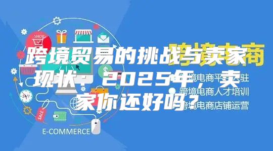 跨境贸易的挑战与卖家现状：2025年，卖家你还好吗？
