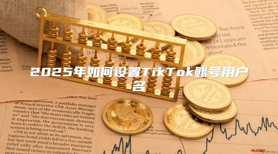 2025年如何设置TikTok账号用户名