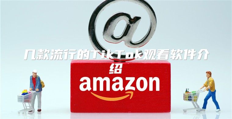 几款流行的TikTok观看软件介绍