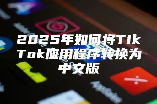 2025年如何将TikTok应用程序转换为中文版
