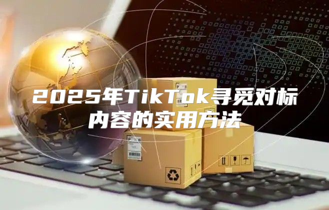 2025年TikTok寻觅对标内容的实用方法