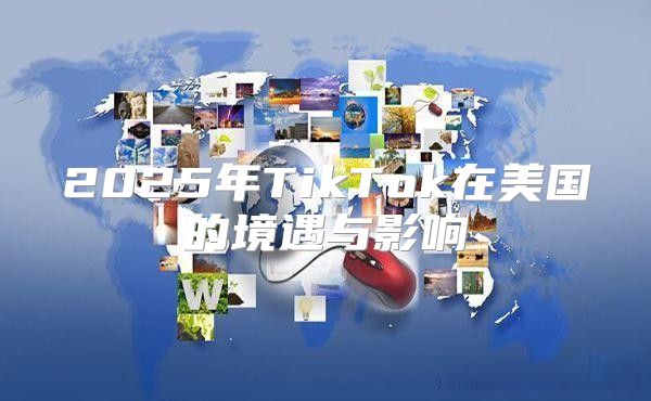 2025年TikTok在美国的境遇与影响
