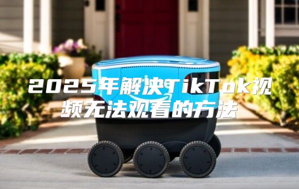 2025年解决TikTok视频无法观看的方法