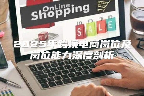 2025年跨境电商岗位及岗位能力深度剖析