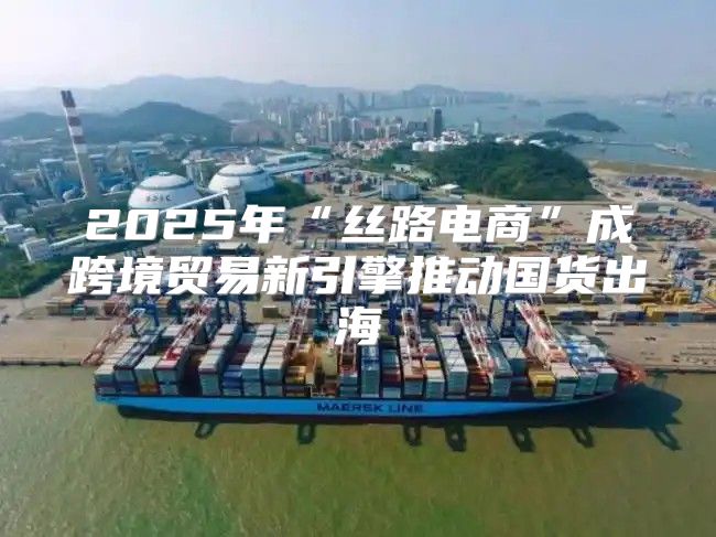 2025年“丝路电商”成跨境贸易新引擎推动国货出海