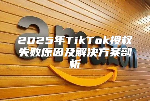 2025年TikTok授权失败原因及解决方案剖析
