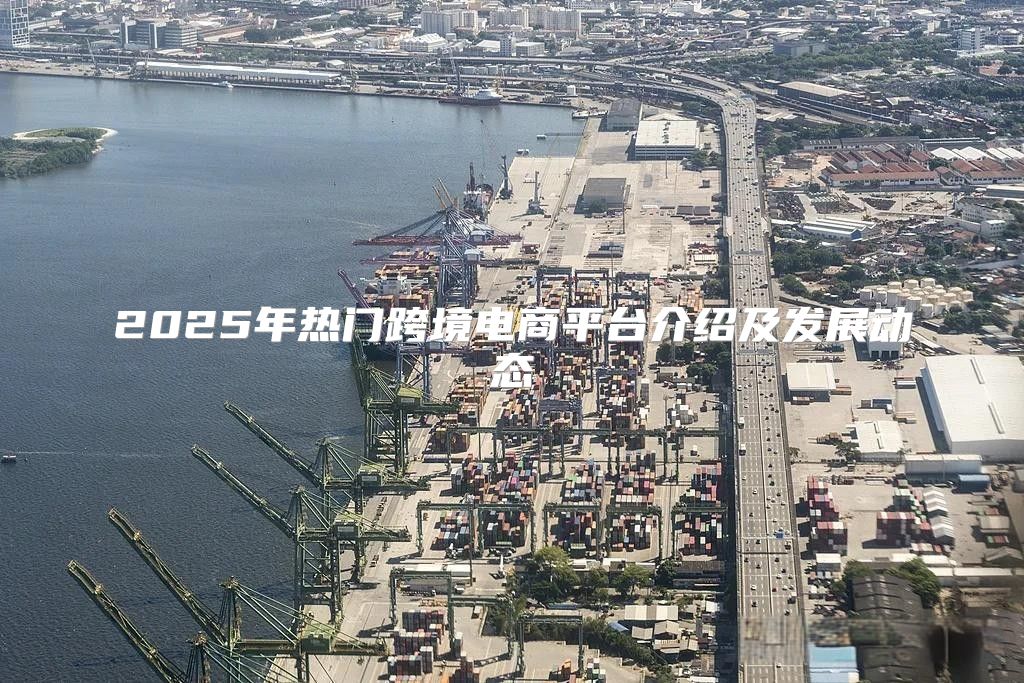 2025年热门跨境电商平台介绍及发展动态