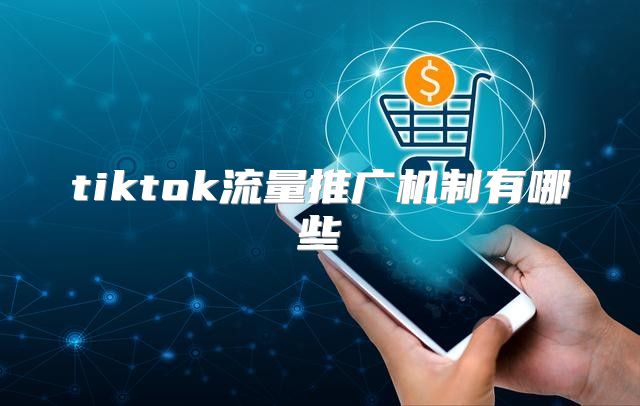 tiktok流量推广机制有哪些