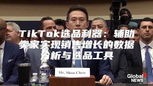 TikTok选品利器：辅助卖家实现销售增长的数据分析与选品工具