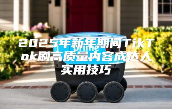 2025年新年期间TikTok刷高质量内容成达人实用技巧