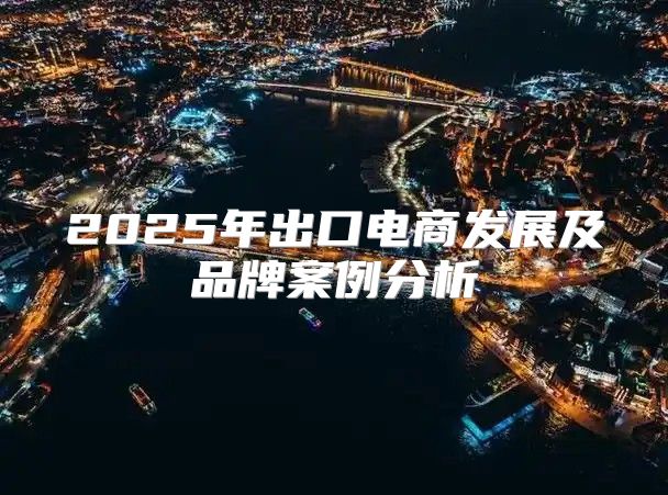 2025年出口电商发展及品牌案例分析