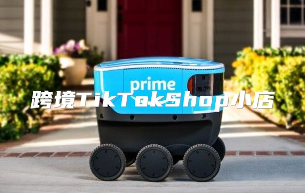 跨境TikTokShop小店