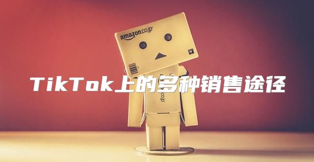 TikTok上的多种销售途径