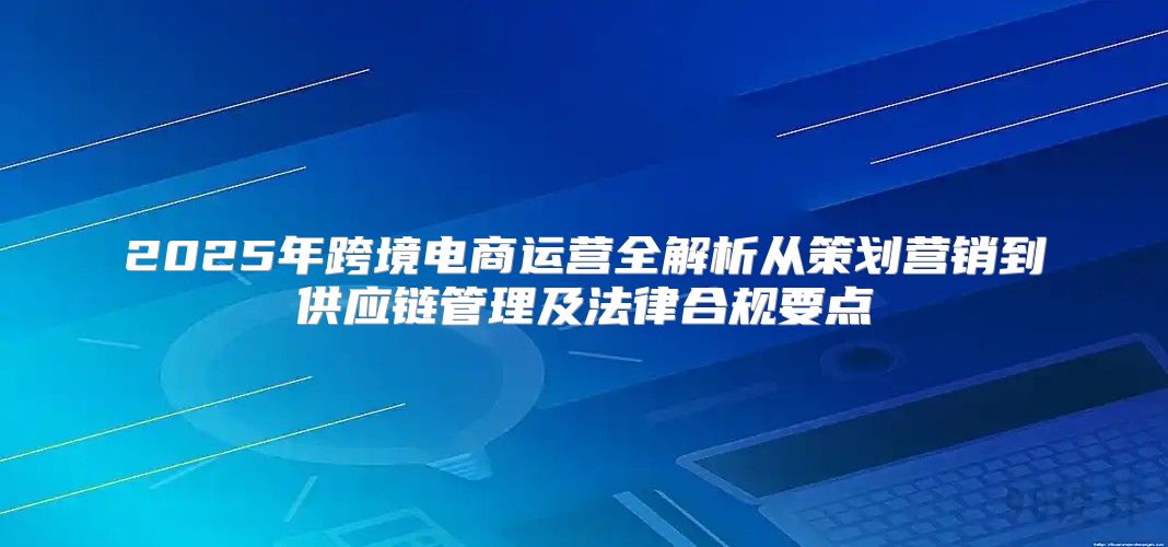 2025年跨境电商运营全解析从策划营销到供应链管理及法律合规要点