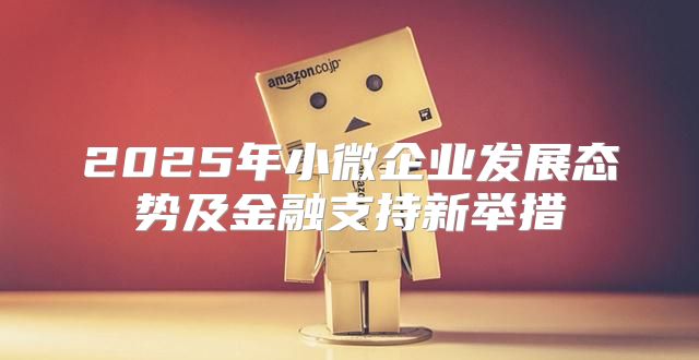2025年小微企业发展态势及金融支持新举措