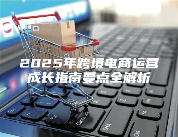 2025年跨境电商运营成长指南要点全解析