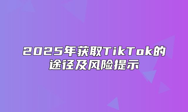 2025年获取TikTok的途径及风险提示