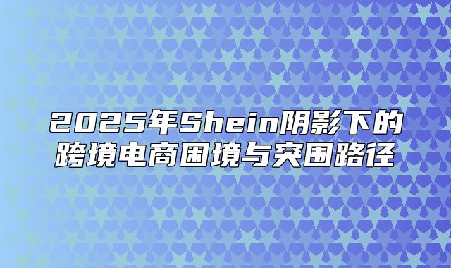 2025年Shein阴影下的跨境电商困境与突围路径
