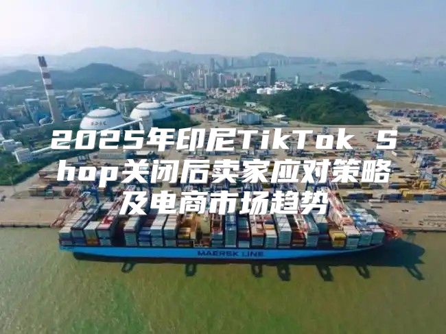 2025年印尼TikTok Shop关闭后卖家应对策略及电商市场趋势