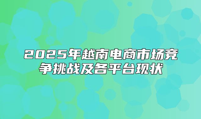 2025年越南电商市场竞争挑战及各平台现状