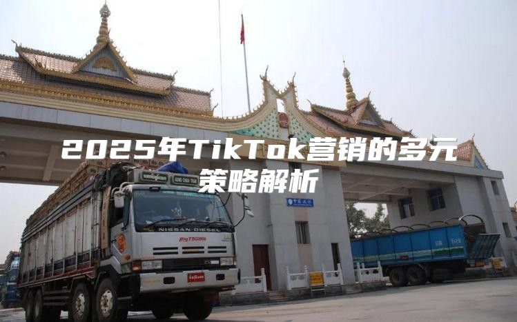 2025年TikTok营销的多元策略解析