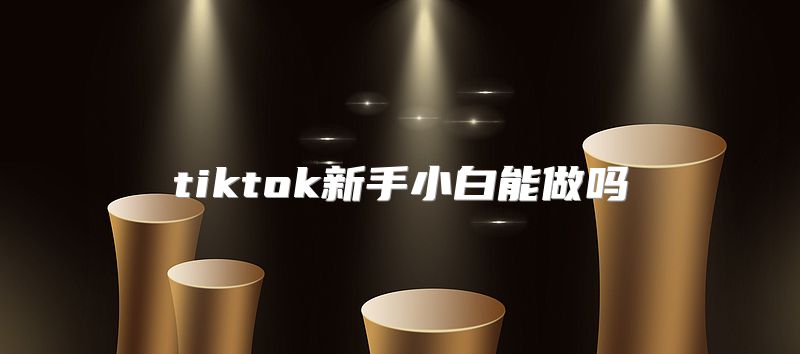 tiktok新手小白能做吗