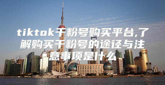 tiktok千粉号购买平台,了解购买千粉号的途径与注意事项是什么