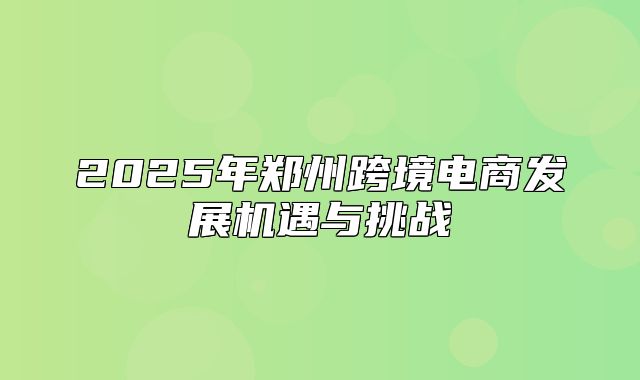 2025年郑州跨境电商发展机遇与挑战
