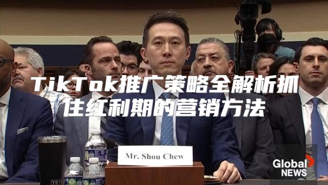 TikTok推广策略全解析抓住红利期的营销方法