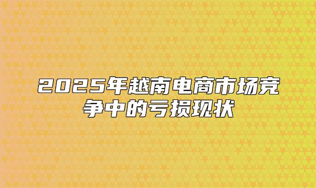 2025年越南电商市场竞争中的亏损现状