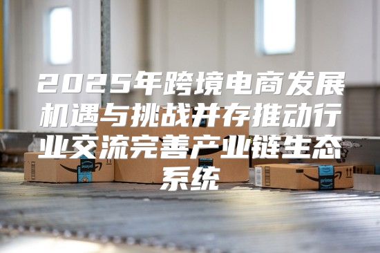 2025年跨境电商发展机遇与挑战并存推动行业交流完善产业链生态系统