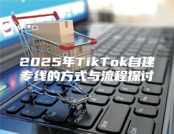 2025年TikTok自建专线的方式与流程探讨