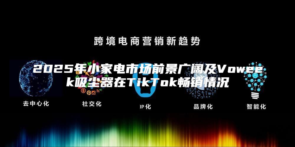 2025年小家电市场前景广阔及Voweek吸尘器在TikTok畅销情况