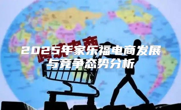 2025年家乐福电商发展与竞争态势分析