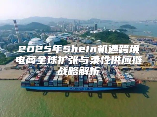 2025年Shein机遇跨境电商全球扩张与柔性供应链战略解析