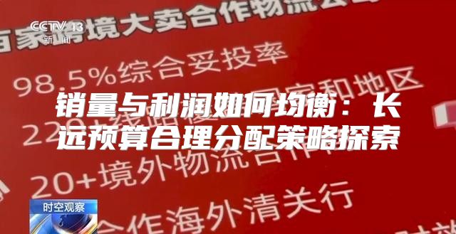 销量与利润如何均衡：长远预算合理分配策略探索