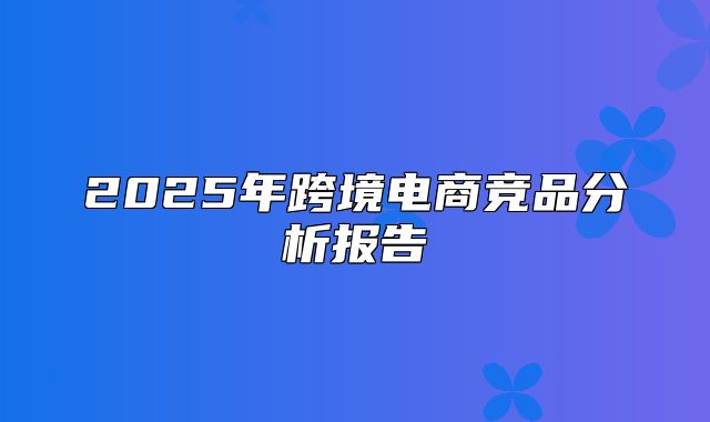 2025年跨境电商竞品分析报告