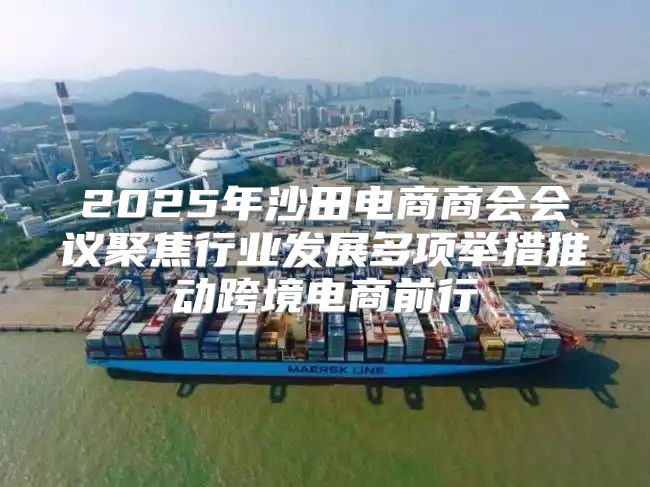 2025年沙田电商商会会议聚焦行业发展多项举措推动跨境电商前行