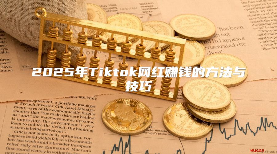 2025年Tiktok网红赚钱的方法与技巧