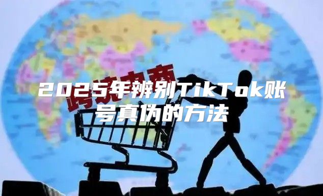 2025年辨别TikTok账号真伪的方法