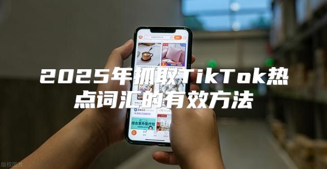 2025年抓取TikTok热点词汇的有效方法