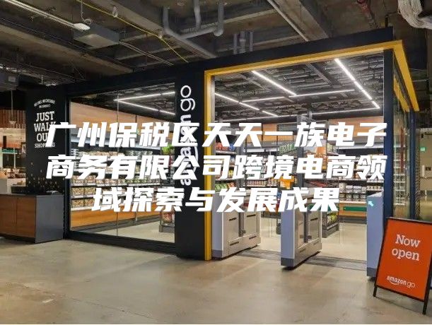 广州保税区天天一族电子商务有限公司跨境电商领域探索与发展成果