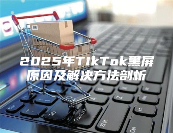 2025年TikTok黑屏原因及解决方法剖析