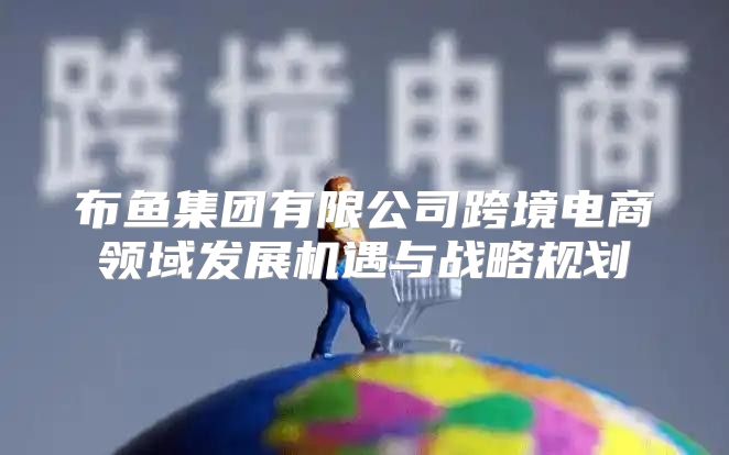 布鱼集团有限公司跨境电商领域发展机遇与战略规划