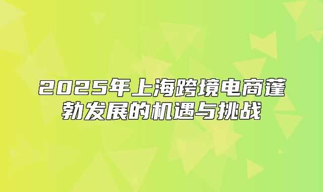 2025年上海跨境电商蓬勃发展的机遇与挑战