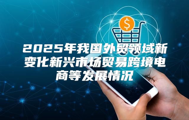 2025年我国外贸领域新变化新兴市场贸易跨境电商等发展情况