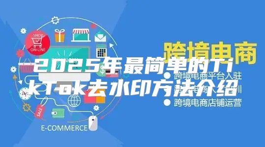 2025年最简单的TikTok去水印方法介绍