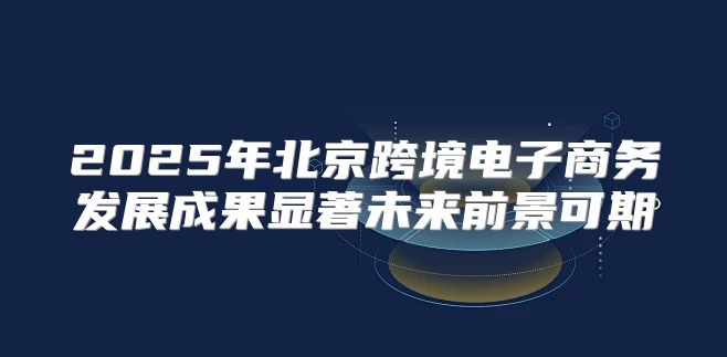 2025年北京跨境电子商务发展成果显著未来前景可期